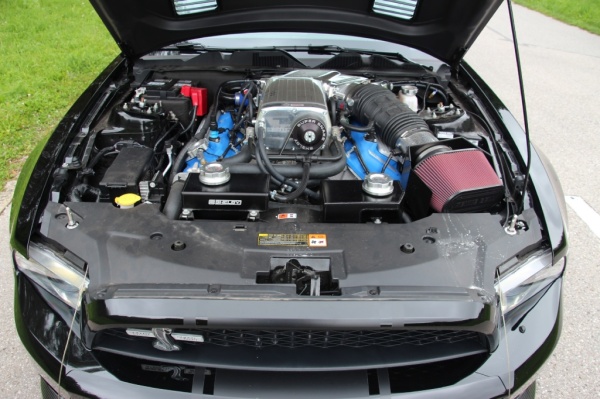 Ford Mustang Shelby GT500 Super Snake: Die geballte Power (Bild 2)
