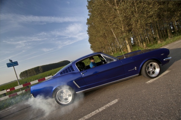 Ford Mustang Shelby GT - Der Stoff aus dem Träume sind:  (Bild 37)