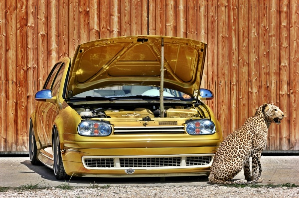 Die eckte Leoparde im Oldschool-Style:  (Bild 13)