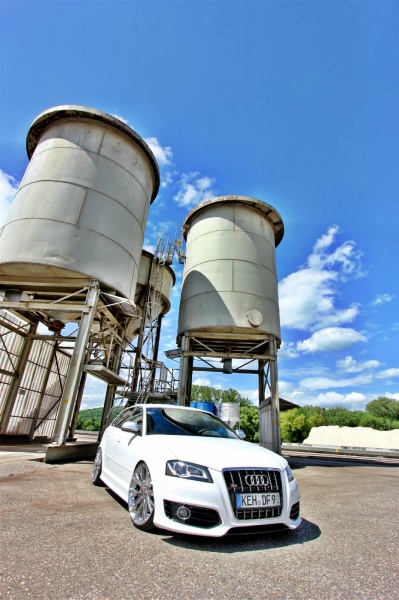 Alcantara Audi S3 in Off Road Manier:  (Bild 40)