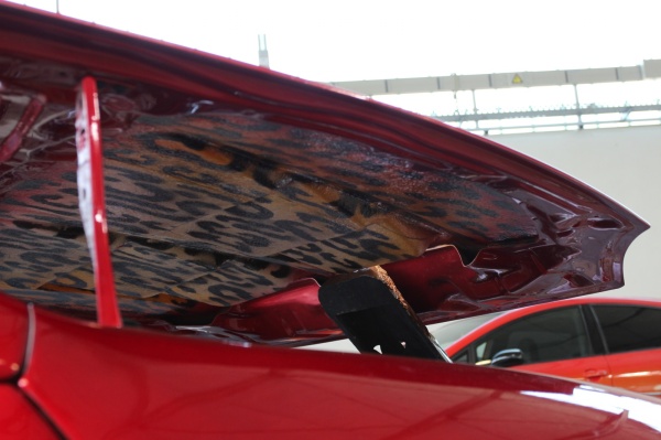 Honda CRX del Sol Tuning - Roter Targa mit tierischem Instinkt: Selbst unter der Haube ist das tierische Airbrush des Honda CRX zu finden. (Bild 58)