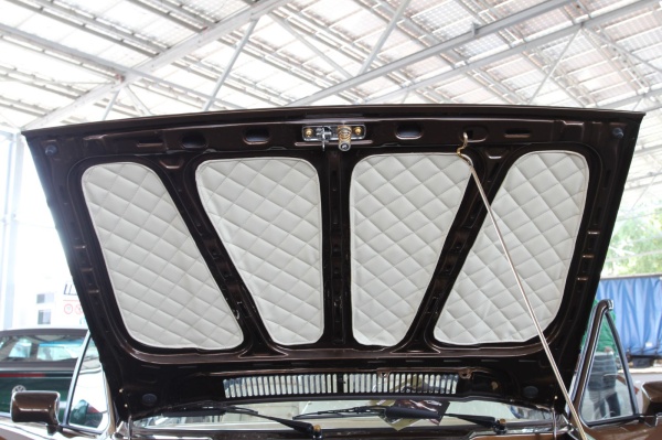 VW Golf Cabrio: Erbeerkörbchen Deluxe:  (Bild 4)